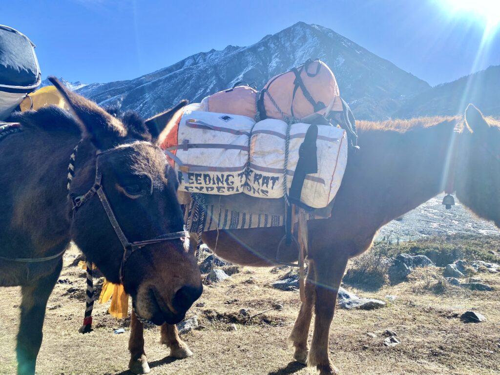 HIGH ALTITUDE 8000m WINTER TIBET KARAKORAM ASCENTS